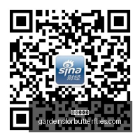 小米电竞新,品上市,性能升级新,爱游戏体育官网,爱游戏体育App,爱游戏体育下载,爱游戏体育登录,爱游戏体育平台