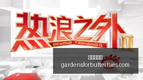 尼昂成长之路：从麦迪到乐福的竞技风格变迁